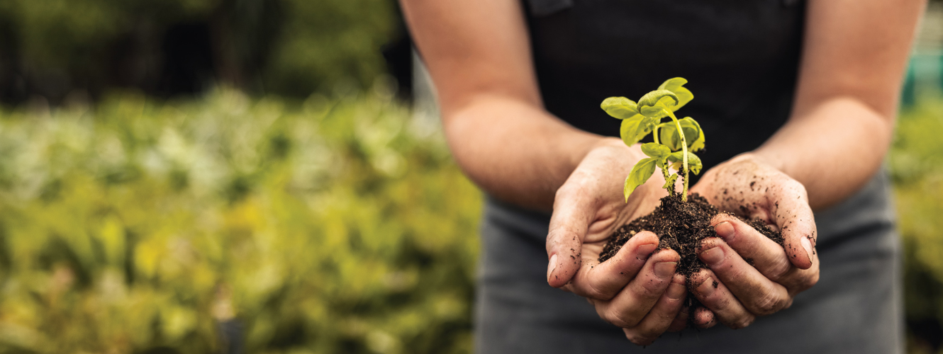 Woman growing plant in hands
